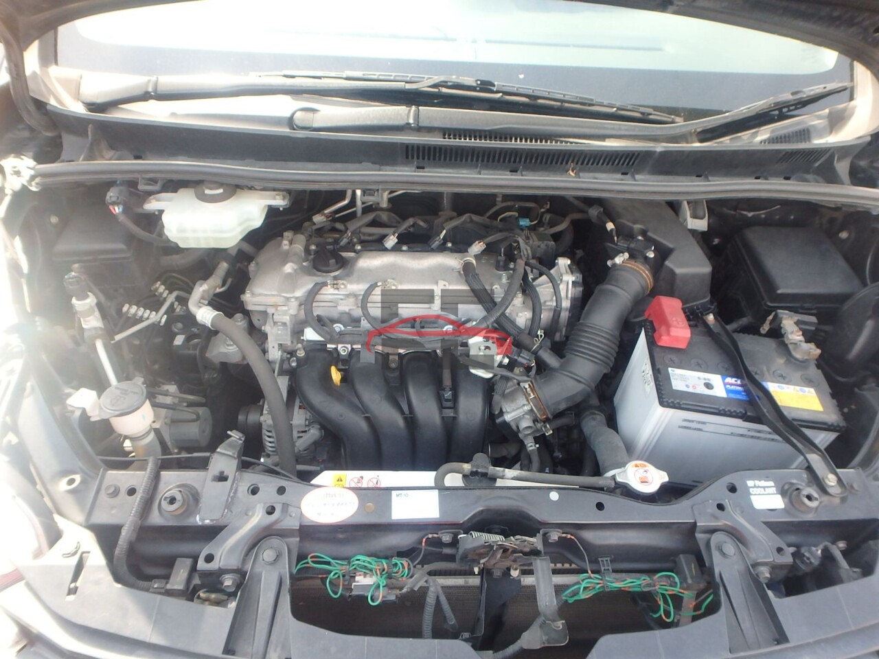 Car 981