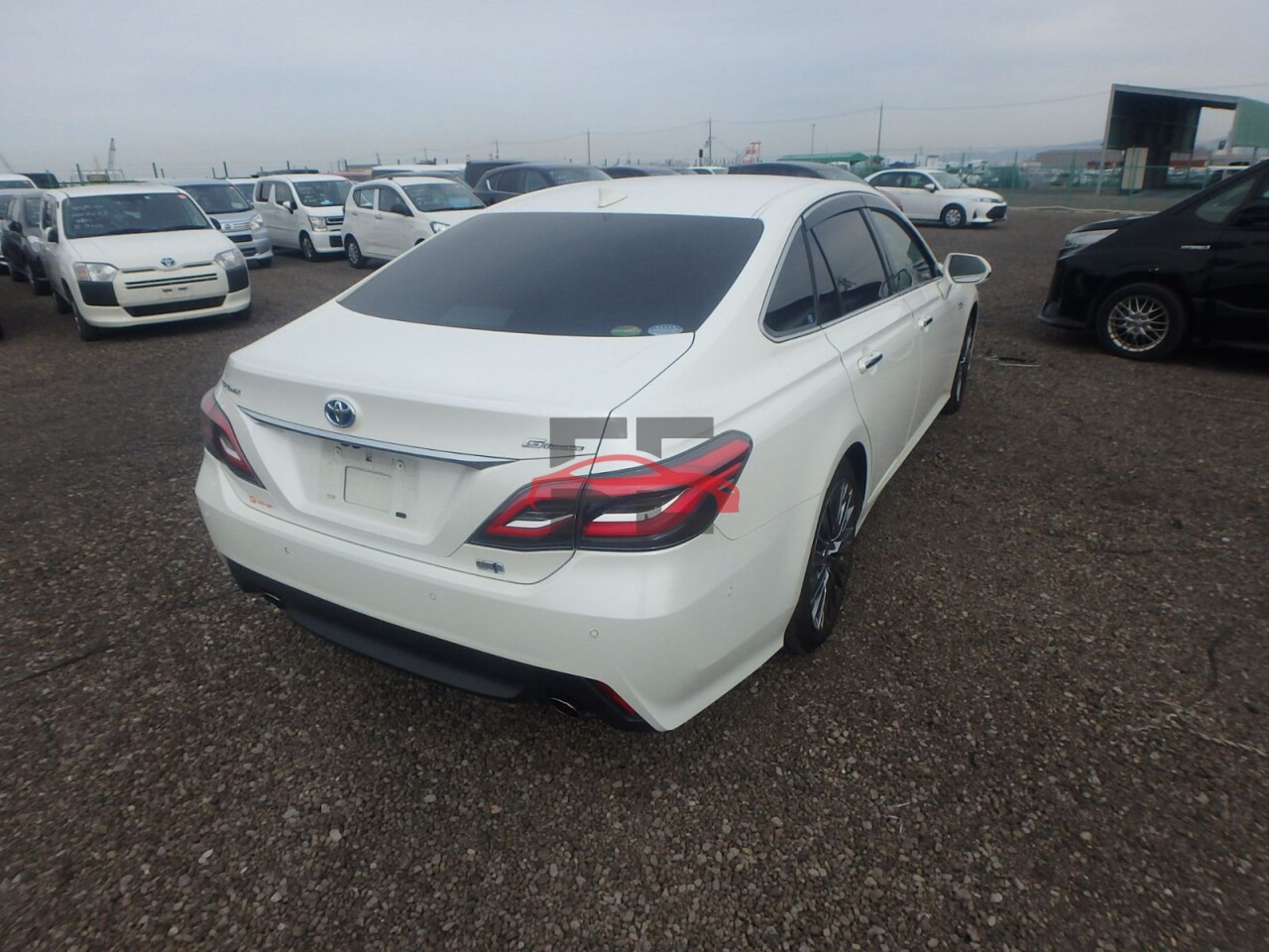 Car 1007